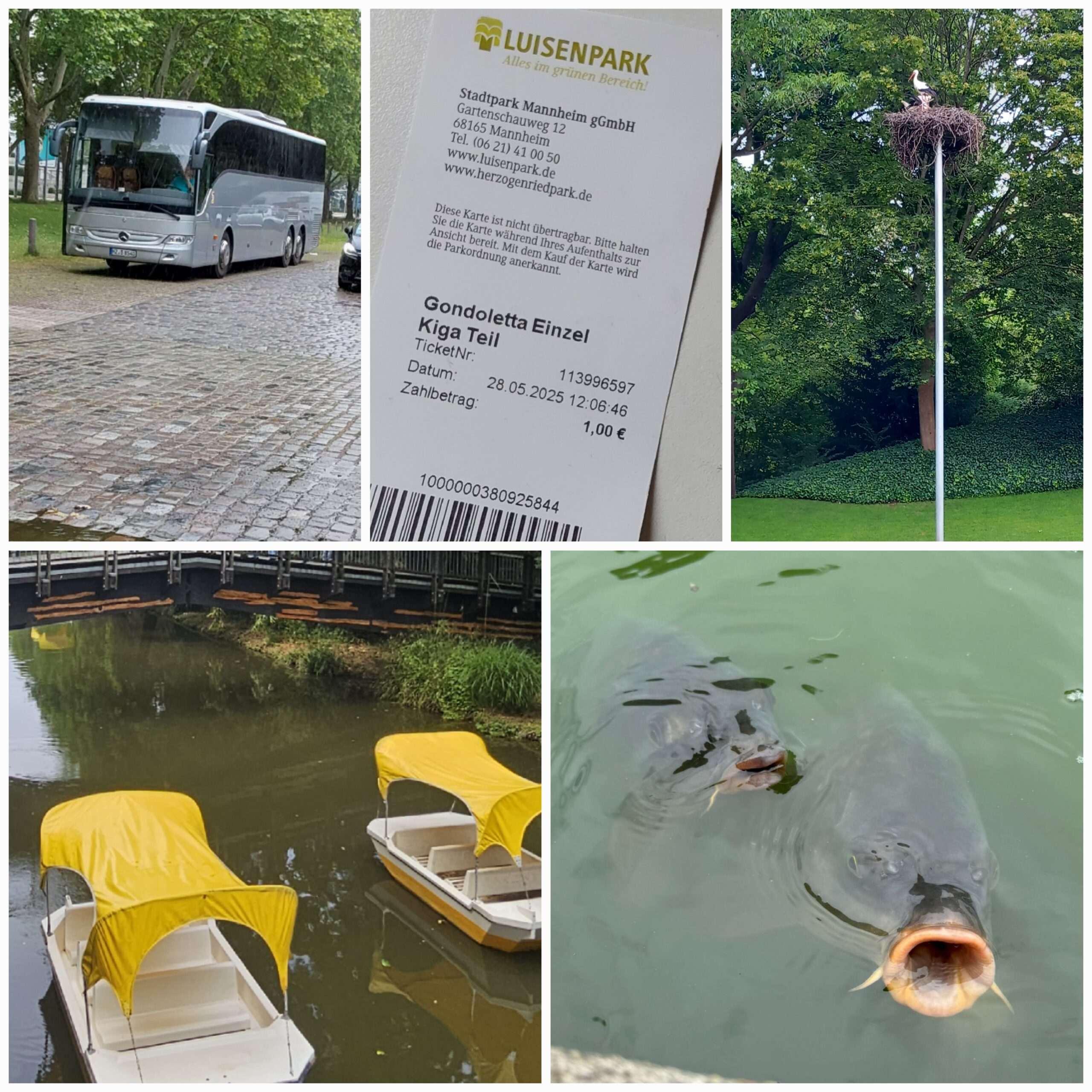 Ausflug der Kita Schlaue Hasen in den Luisenpark