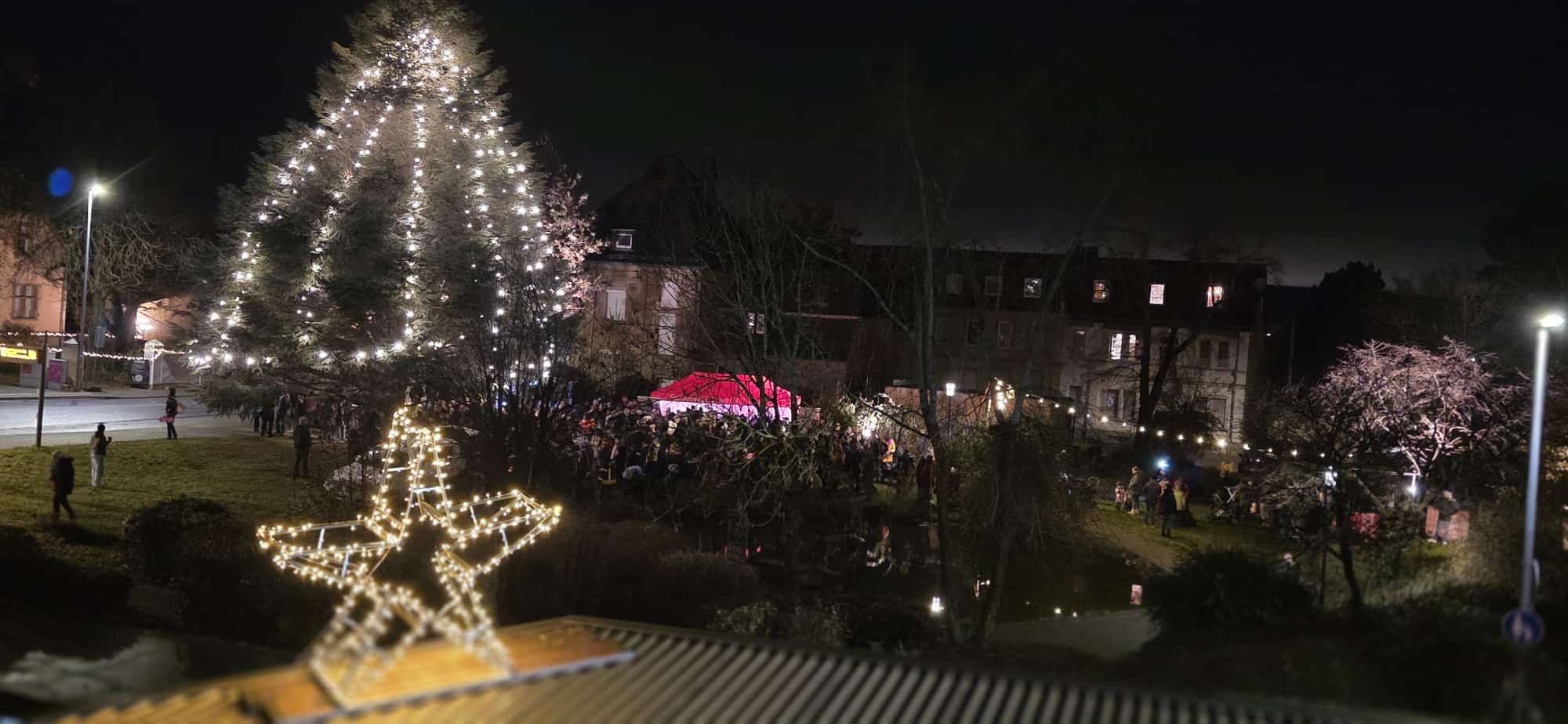 Glühwein im Park – Baum angeleuchtet